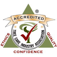 Tree Care Association Certified