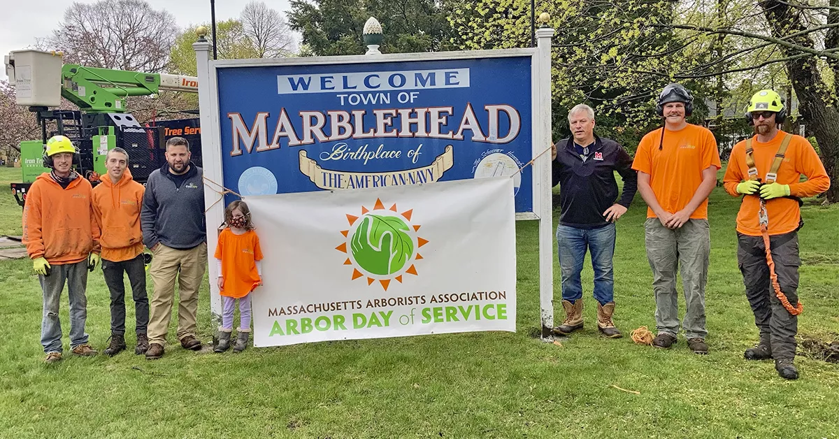 Iron Tree Service Volunteers at Glabicky Field in Marblehead to Celebrate Arbor Day
