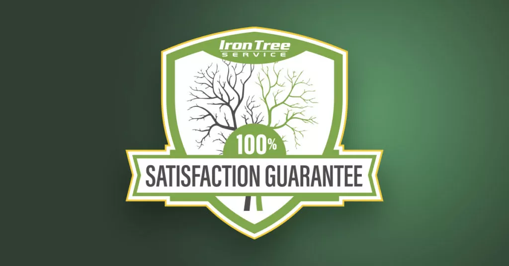 Iron Tree 100% Satisfaction Guarantee