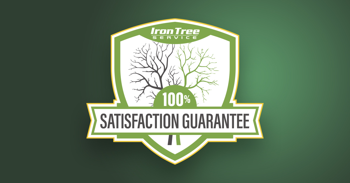 Iron Tree 100% Satisfaction Guarantee></a></div><div class=
