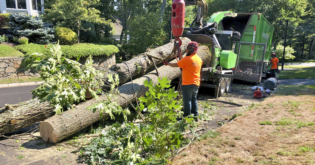 Best Tree Service South Bend - Landscaping South Bend Indiana