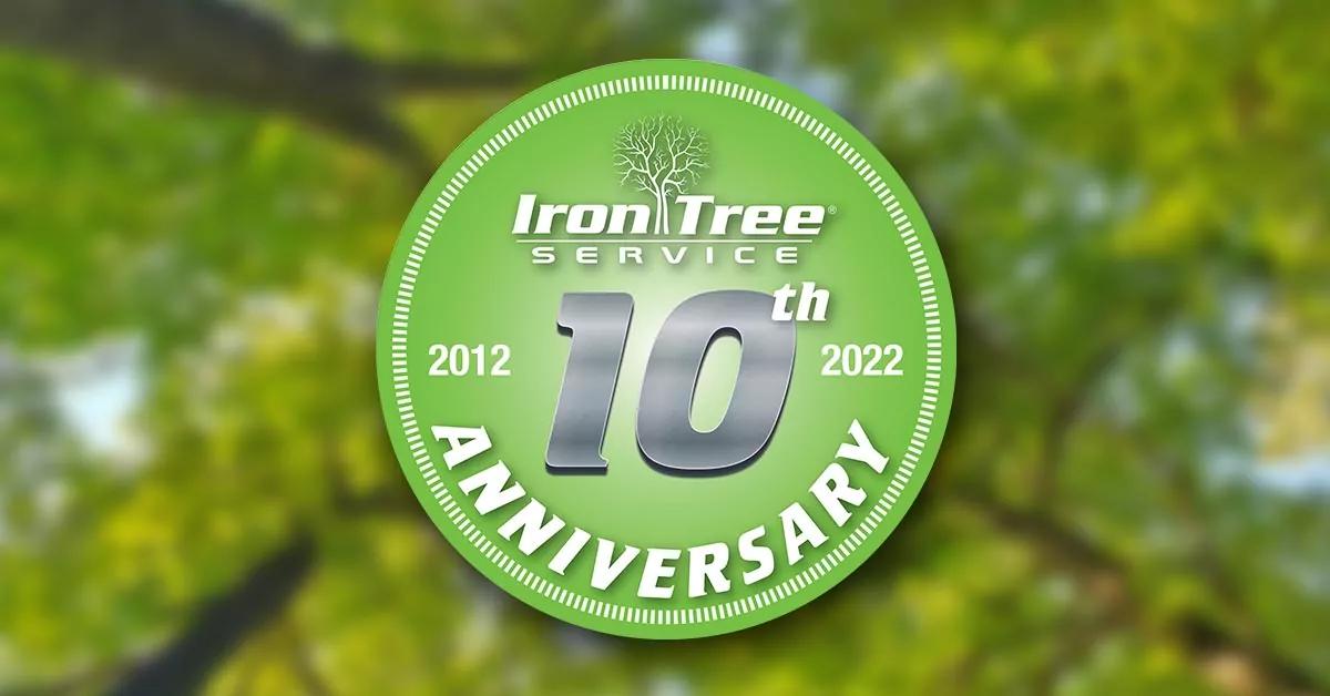 Iron Tree Service Celebrates a Decade of Providing Quality Tree Service in Massachusetts