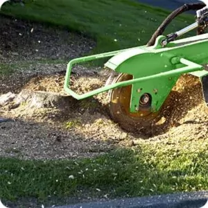 Stump Grinding