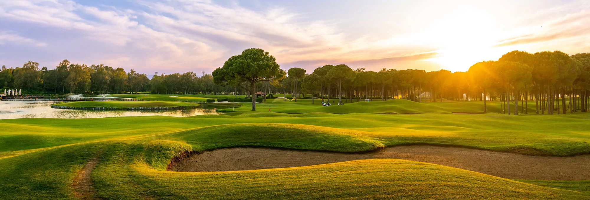 Read more about the article Golf Courses