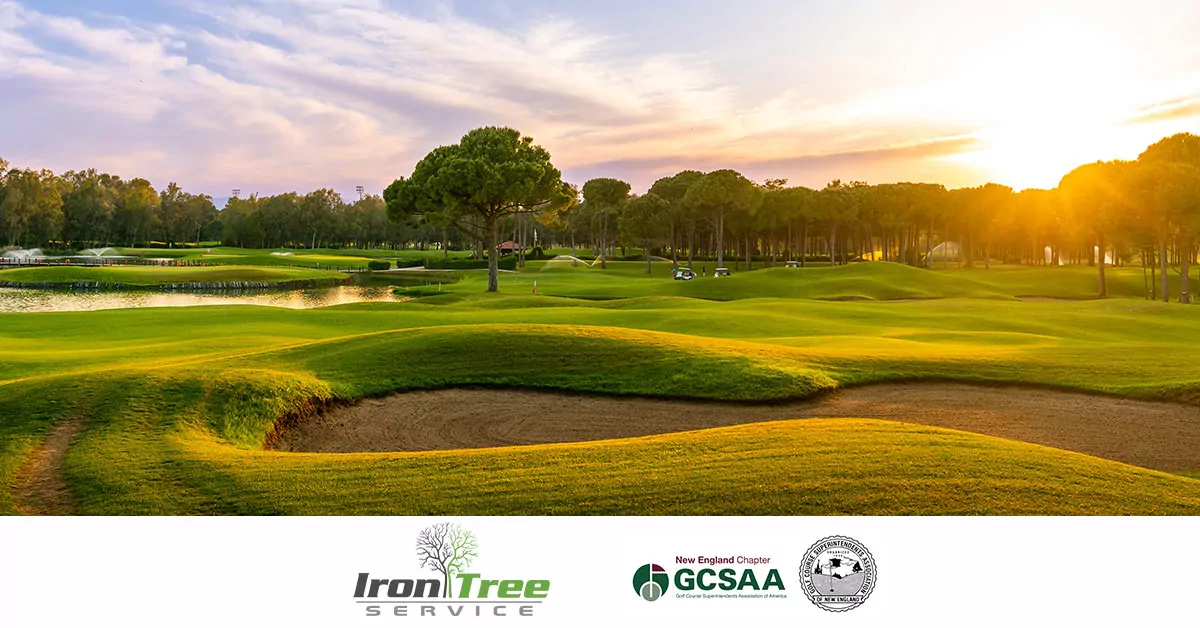 Iron Tree Service Joins the Golf Course Superintendents Association of New England